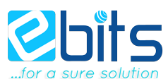 ebits.rubieglobalconsulting.com